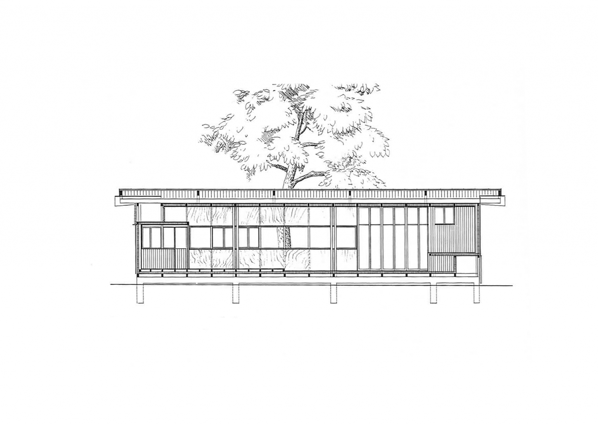 Hidden Architecture » Plywood House Hidden Architecture